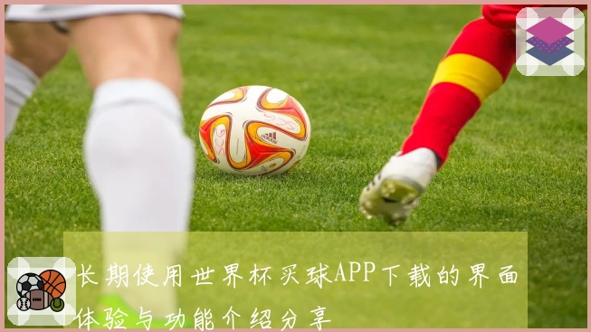 长期使用世界杯买球APP下载的界面体验与功能介绍分享