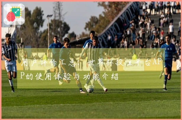 用户评价汇总：世界杯投注平台APP的使用体验与功能介绍