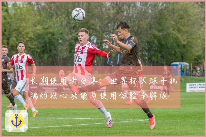 长期使用者分享：世界杯买球手机端的核心功能与使用体验全解读