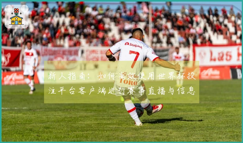 新人指南：如何高效使用世界杯投注平台客户端进行赛事直播与信息获取