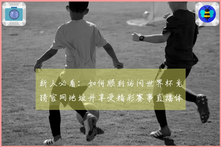 新人必看：如何顺利访问世界杯竞猜官网地址并享受精彩赛事直播体验