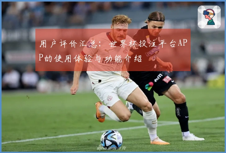 用户评价汇总：世界杯投注平台APP的使用体验与功能介绍