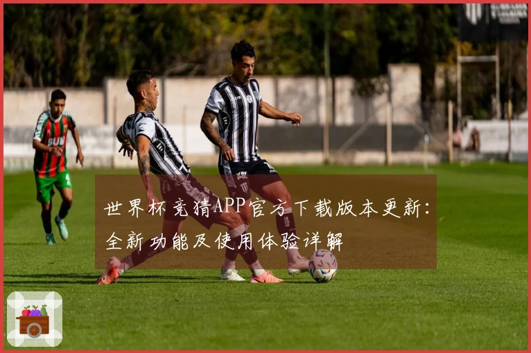 世界杯竞猜APP官方下载版本更新：全新功能及使用体验详解