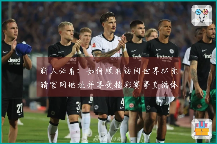 新人必看：如何顺利访问世界杯竞猜官网地址并享受精彩赛事直播体验