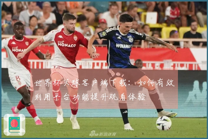 世界杯买球客户端下载：如何有效利用平台功能提升观看体验