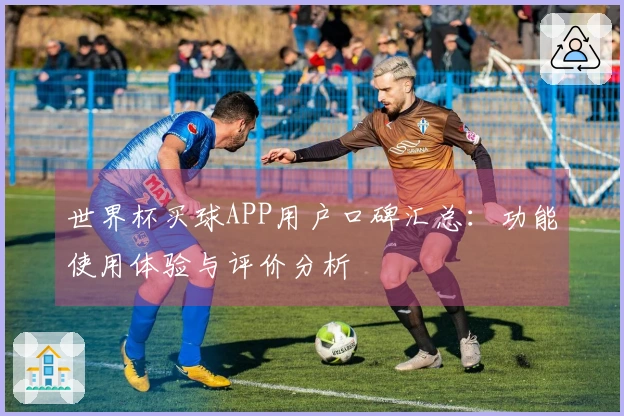世界杯买球APP用户口碑汇总：功能使用体验与评价分析